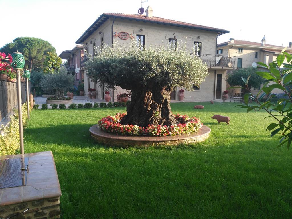 Domus Angeli Hotell Assisi Eksteriør bilde