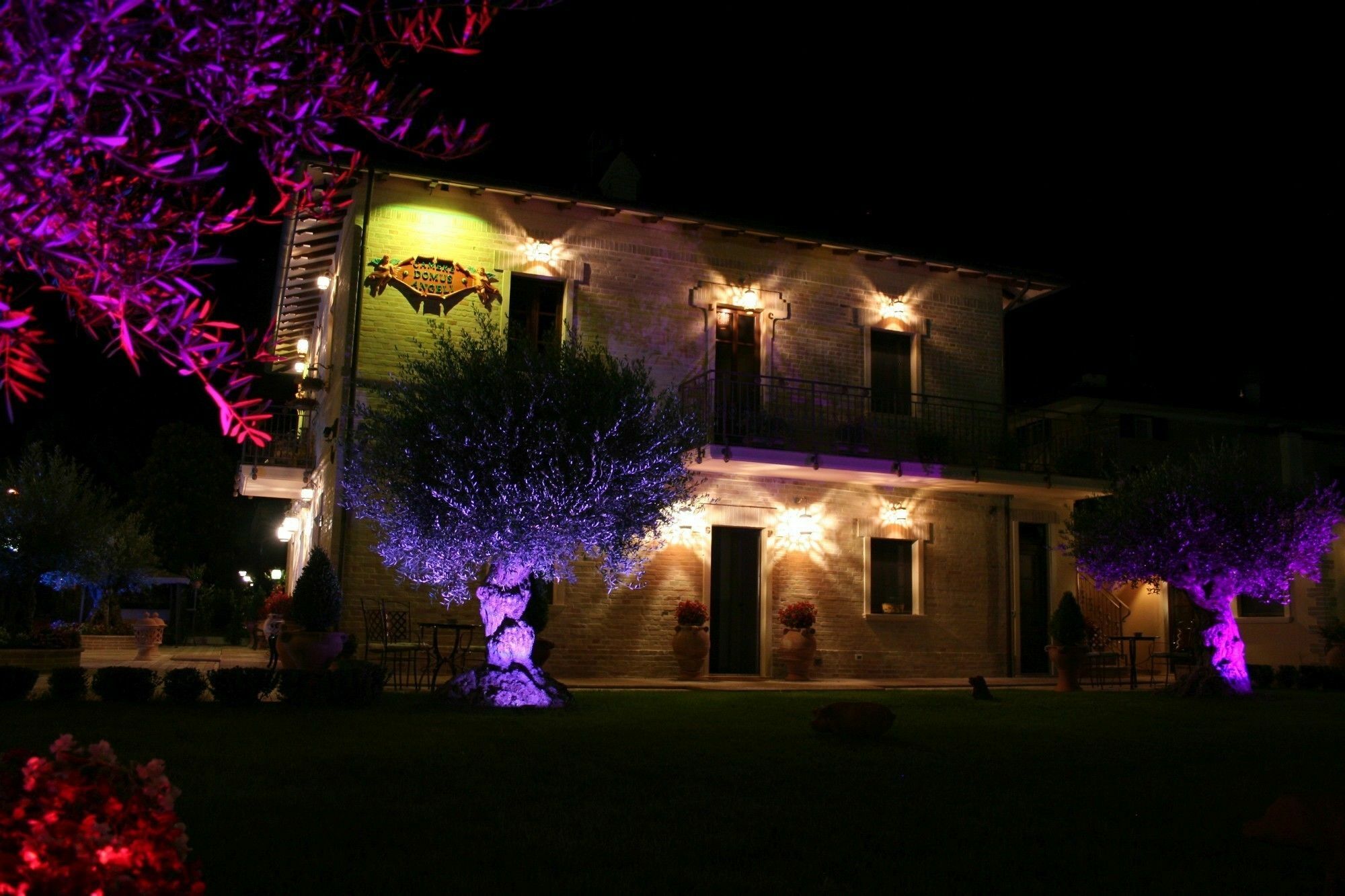 Domus Angeli Hotell Assisi Eksteriør bilde